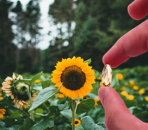 1. Vitamin E for Hardening of the Arteries: Why One Million Americans Die Needlessly Every Year
